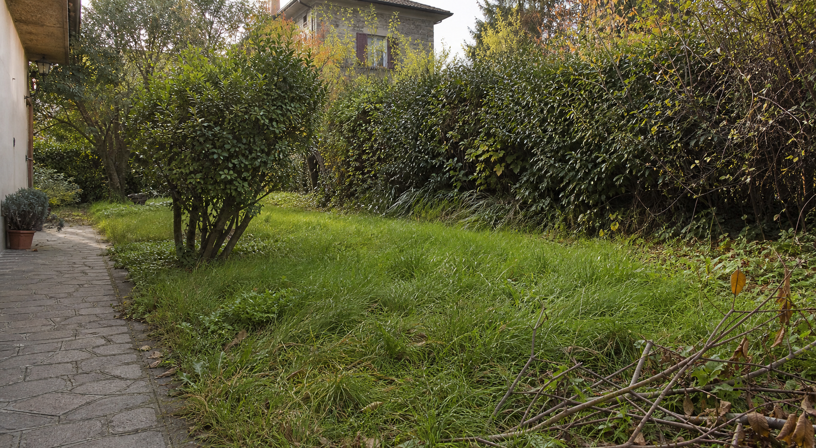 Giardino a Bergamo con manutenzione da organizzare